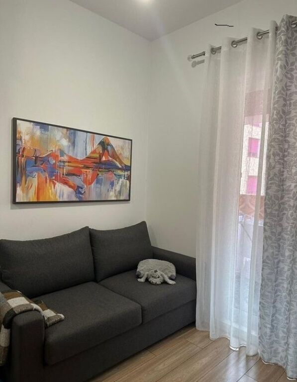 We rent a 1+1 apartment in Ali Demi, Tirana
