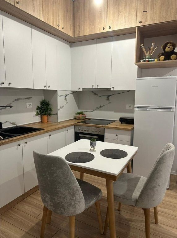 We rent a 1+1 apartment in Ali Demi, Tirana