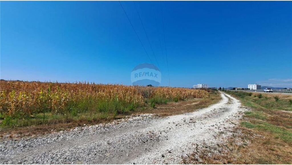 Toke ne shitje ne Autostraden Vlore-Fier,Fjortesi