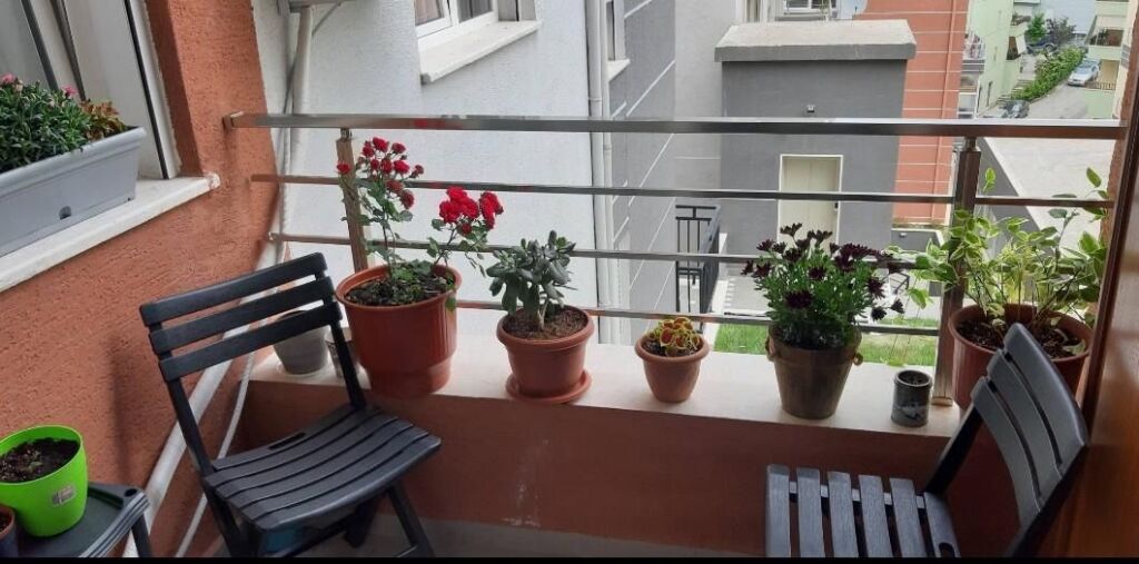 Super ap 2+1+2 at the botanical garden mosque