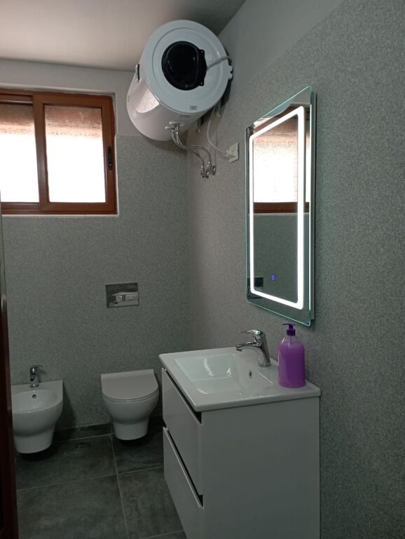 Apartment 1+1 for Rent