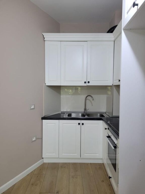 Apartment 1+1 for rent near the botanical garden