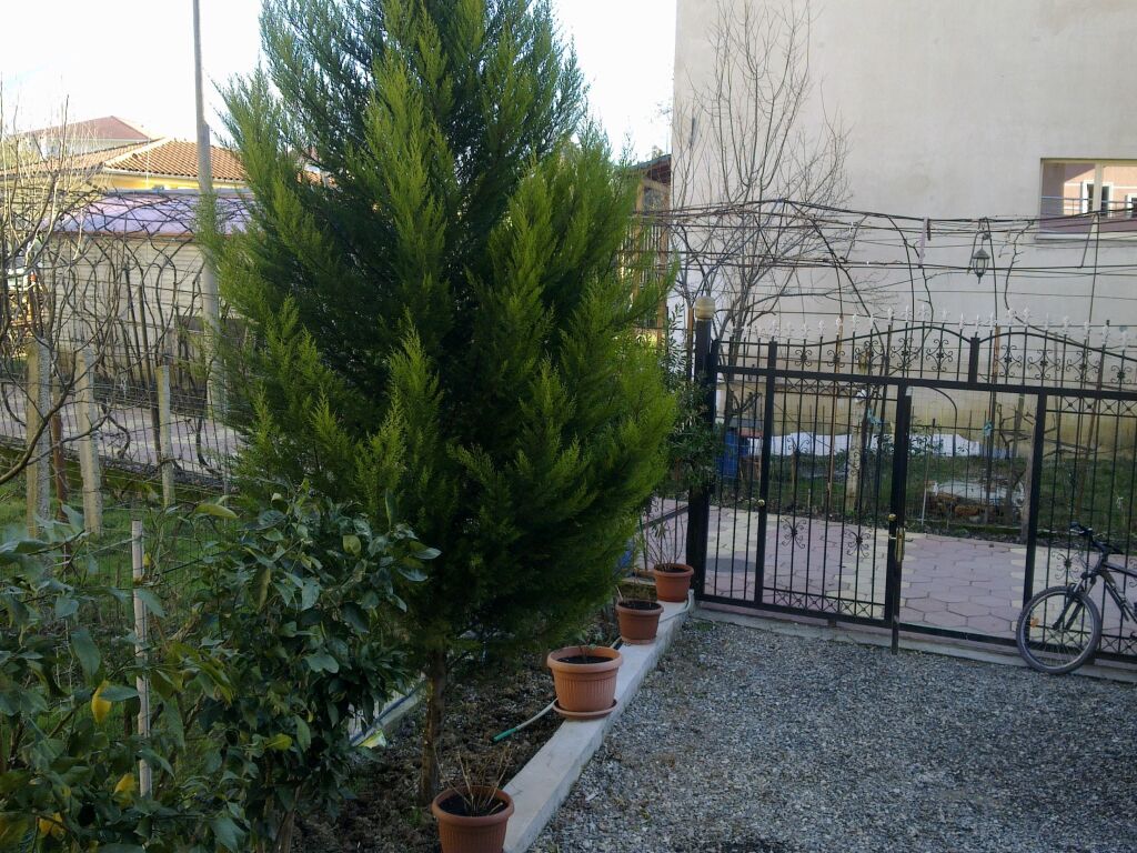 SHITET VILE 4 KATESHE PRANE VILAVE AMERIKANE