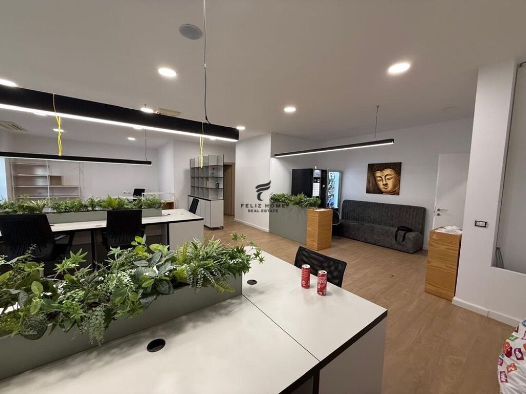 ZYRE ME QERA 180 M2 DELIORGJI 250.000 LEKE