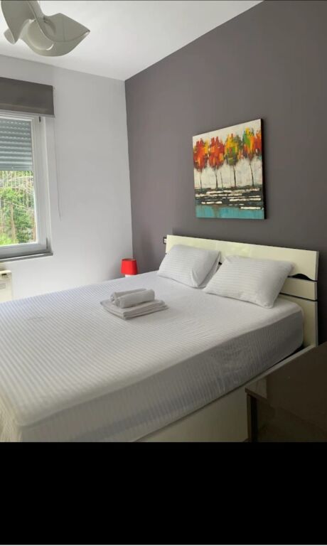 For rent 1+1 Botanical Garden 500€