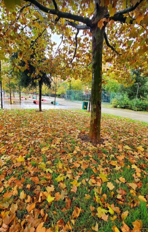 Apartment 2+1+2 for sale Former Aviation Field.