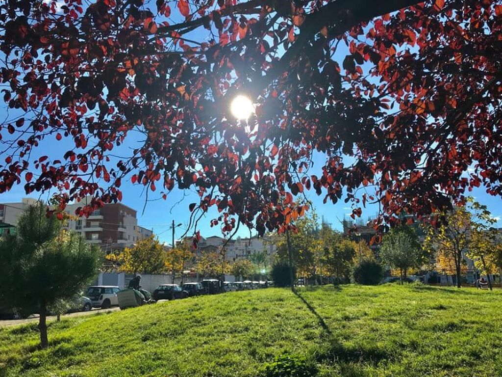 Shitet, Apartament 2+1+2+Post parkimi, Ali Demi, Tiranë.