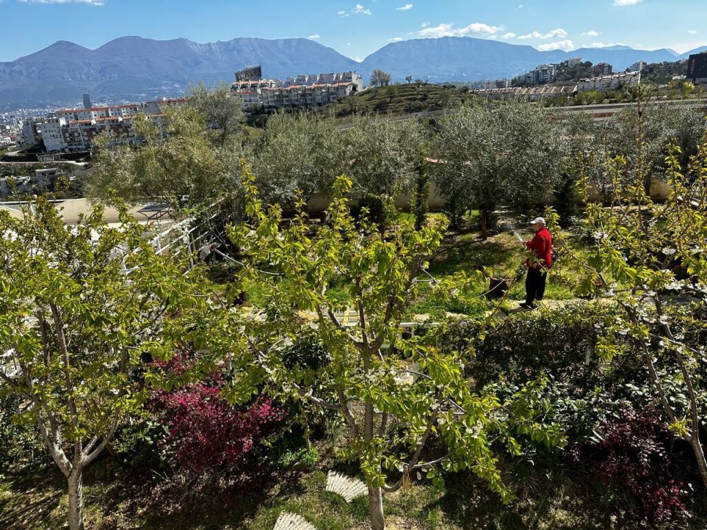 Shitet triplex tek Kodra e Diellit