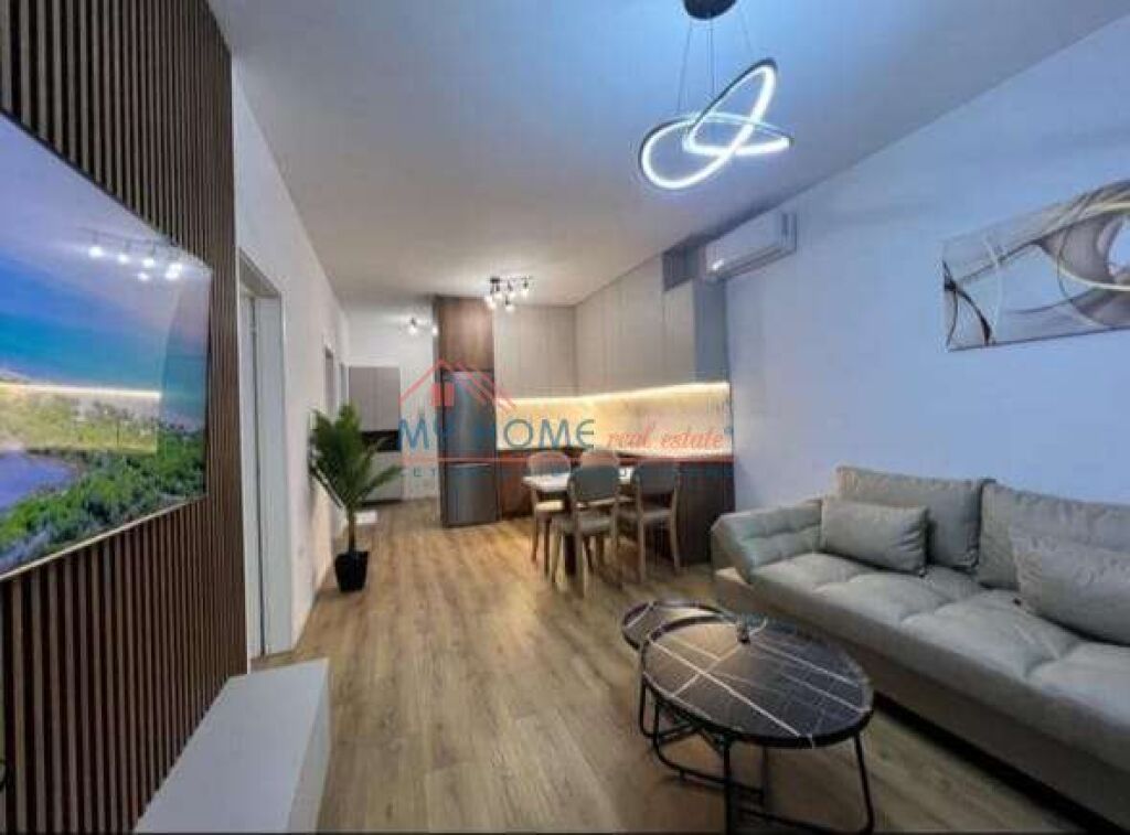 Apartament 2+1 me Qira te Zogu i Zi Tirane