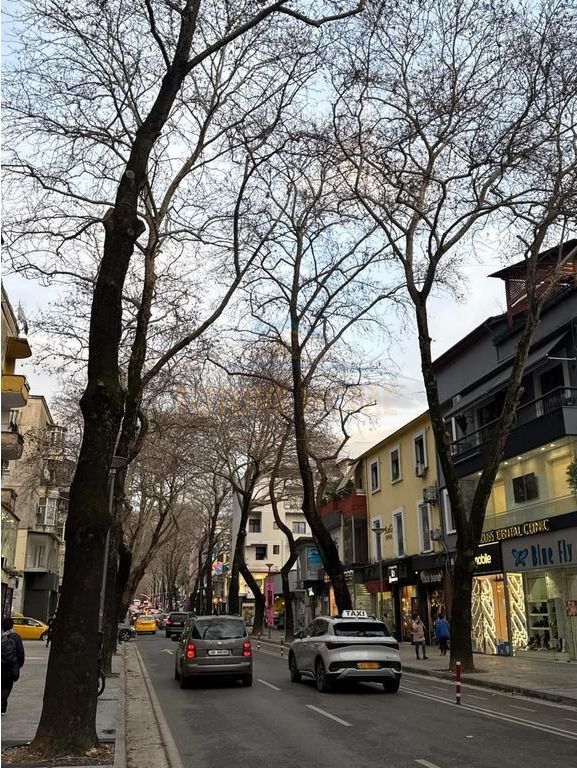 Rent, Business Premises, Myslym Shyri