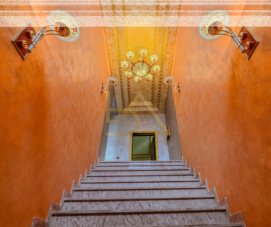 Shitet Papafingo Luksoze – Shkëmbi i Kavajës