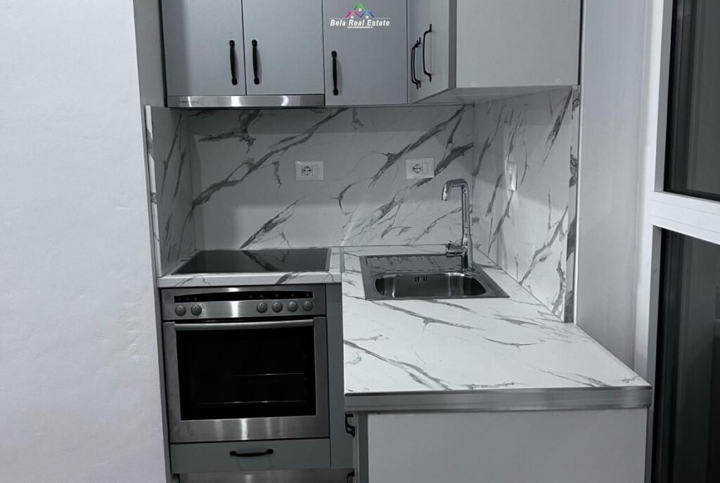 Appartamento In Affitto 1+1 A Ali Dem ( ID B2101515) Tirana