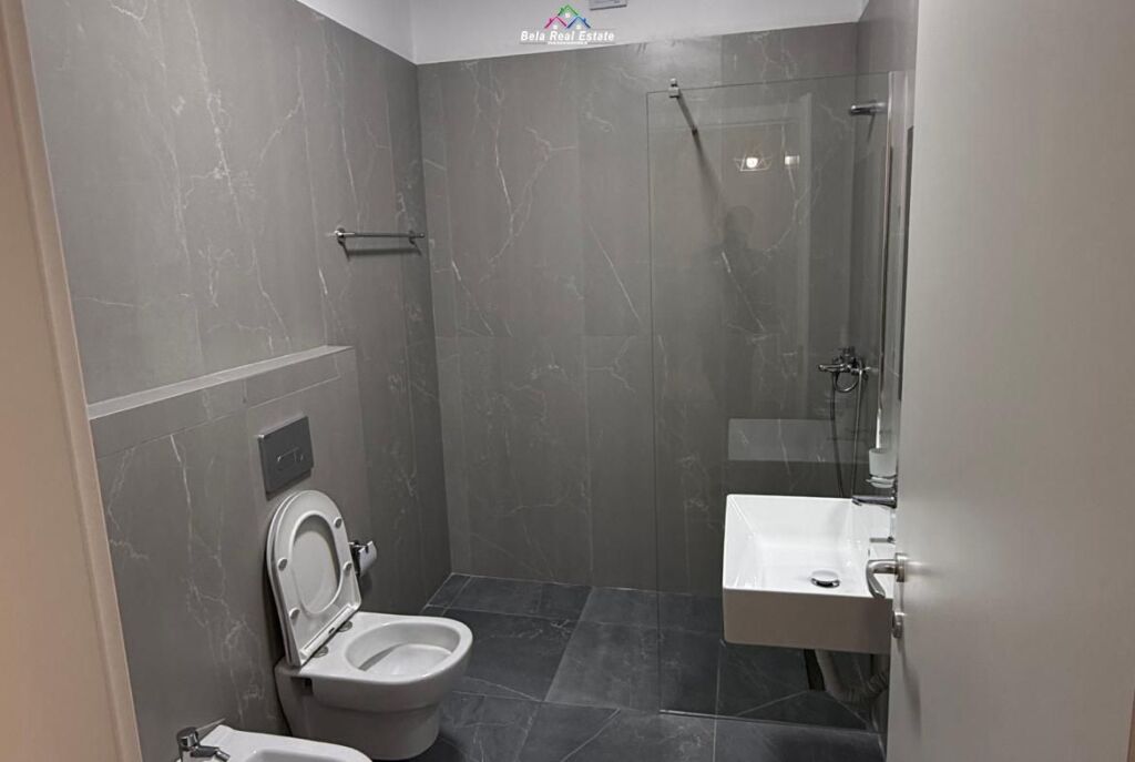 Apartament Me Qera 1+1 Ne 5 Maj ( ID B2101521) Tirane