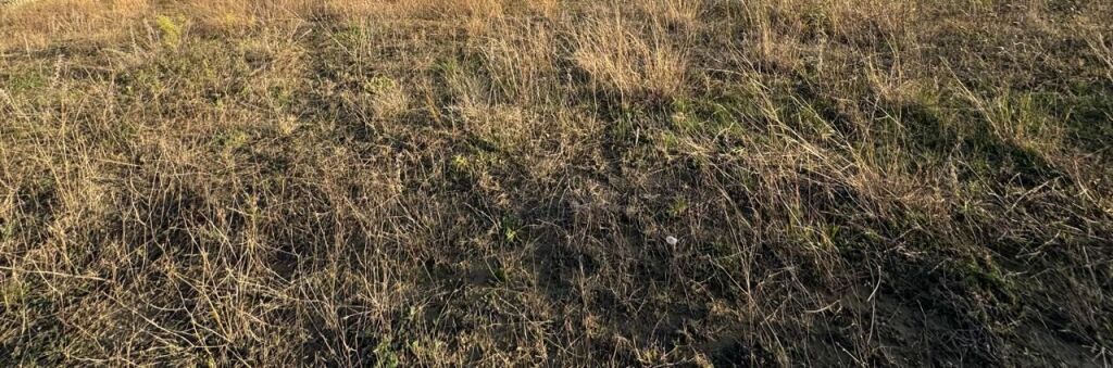 toke per ndertim vile per shitje ne Berzhite