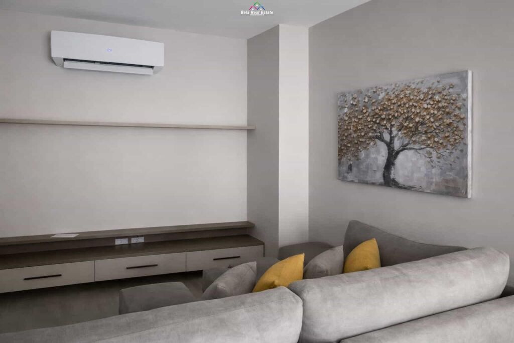 Appartamento In Affitto 1+1 Presso Dritan Hoxha ( ID B2101530) Tirana