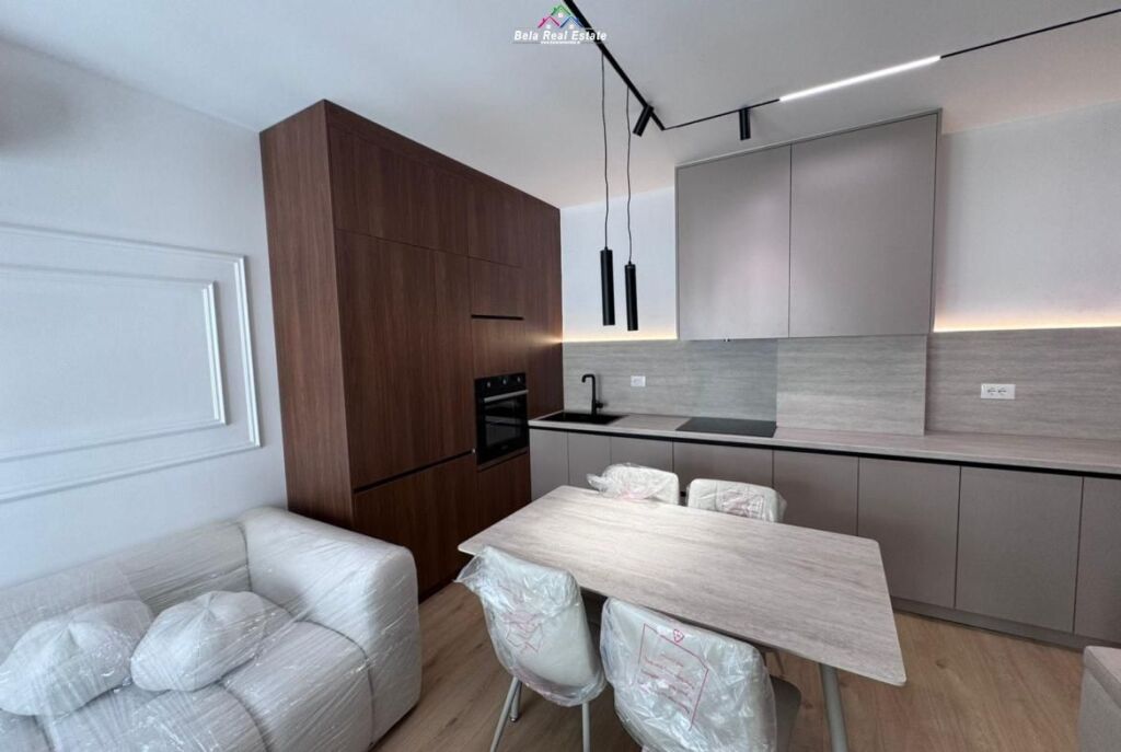 Appartamento In Affitto 1+1 A Ali Dem (ID B2101520) Tirana