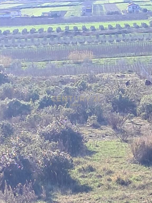 Shitet Tokë në Spille – 5,930 m² 180,000 €