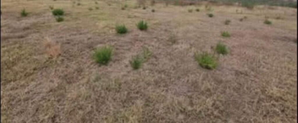 toke per ndertim vile per shitje ne Berzhite