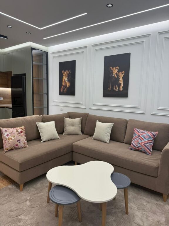 APPARTAMENTO IN AFFITTO 1+1