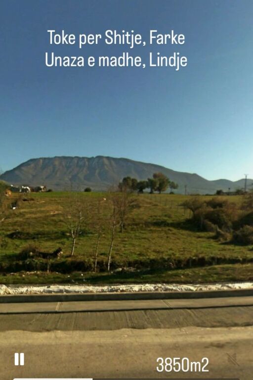 Toke per Shitje, Farke/ Buze Unazes Lindore