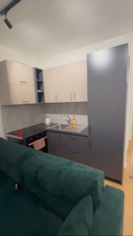 APARTMENT FOR RENT 1+1 SELITE 55,000 LEKE