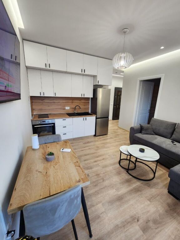 apartment 1+1 for rent in Sauk