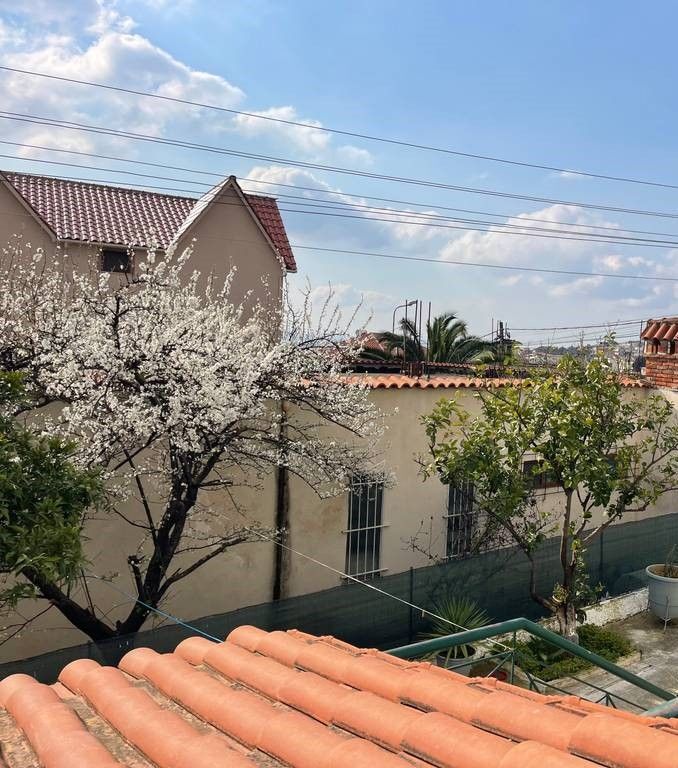 2+1 apartment on the first floor in a 3-story villa for sale – Shkozë, Tirana