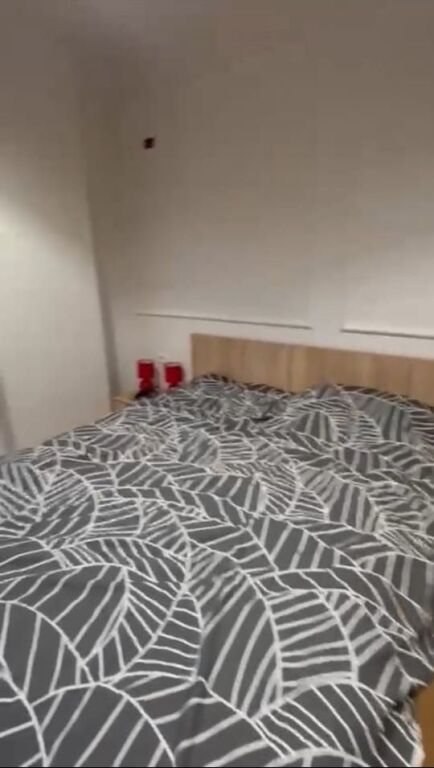 APARTMENT FOR RENT 1+1 SELITE 55,000 LEKE