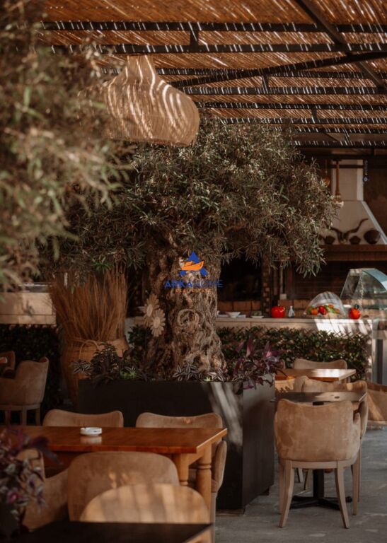 JEPET ME QERA RESTORANT "NË QEPARO" 50.000 EURO