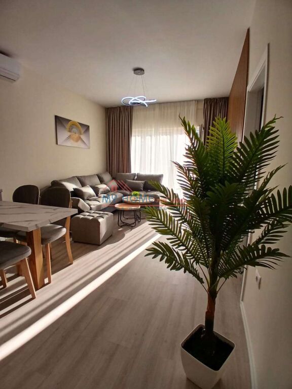 Apartament 2+1 me Qira te Zogu i Zi Tirane