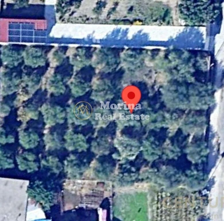 Shitje | Tokë / Truall | Fier | 45500 €