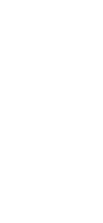 Swan Lake Residence Fark