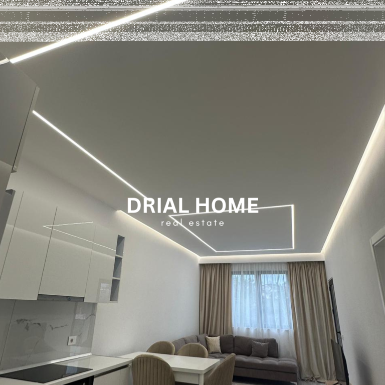 APPARTAMENTO IN AFFITTO 1+1