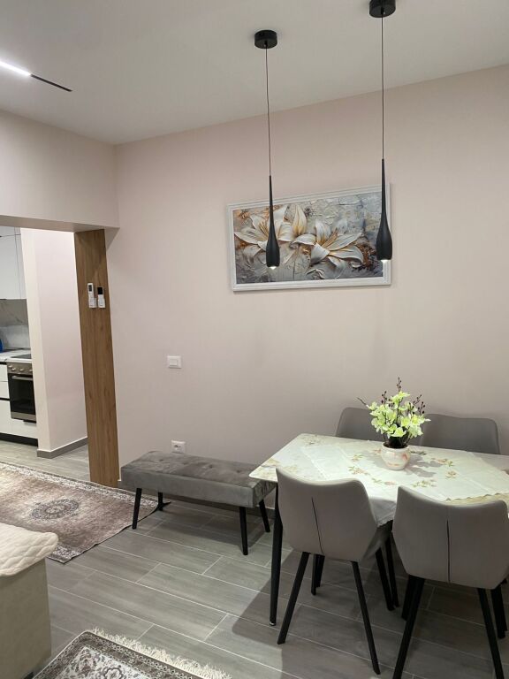 1+1 Apartment for Rent near Tirana High School