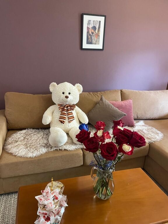 🏡 Apartment for Rent Near Air Albania Stadium on Elbasani Street, Ideal for Airbnb