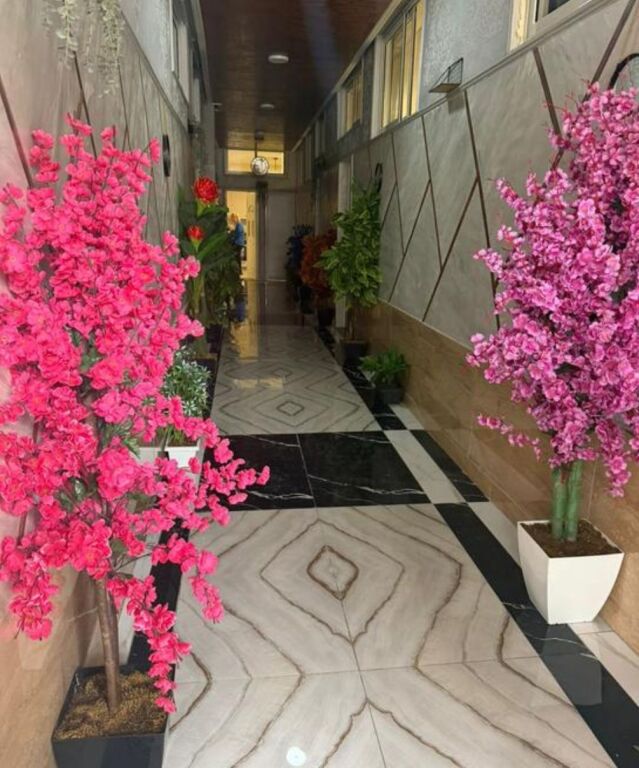 Affittasi appartamento 1+1