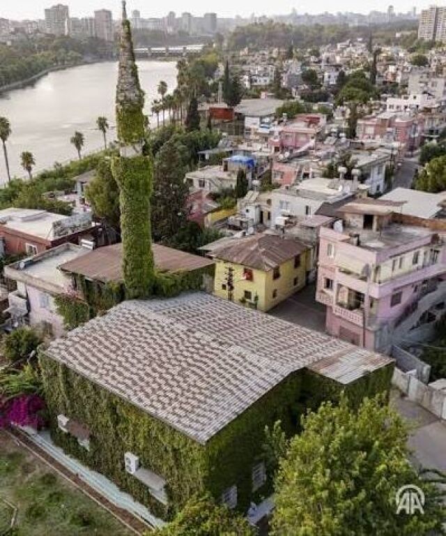 For sale at the Botanical Garden