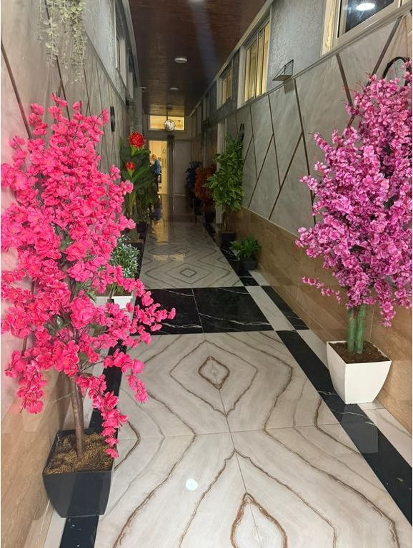 Jepet Apartament me qira 1+1, shtëpi private, Ali Demi,Tiranë