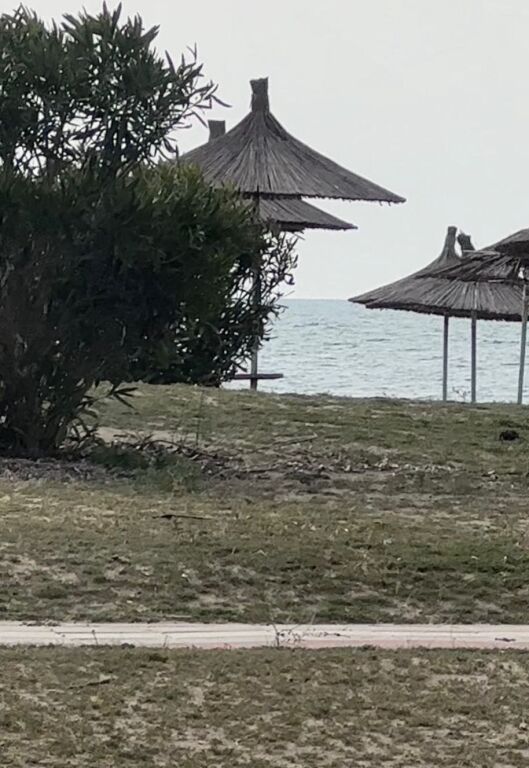 SHITET TOKE VIJE E PARE SPILLE, KAVAJE