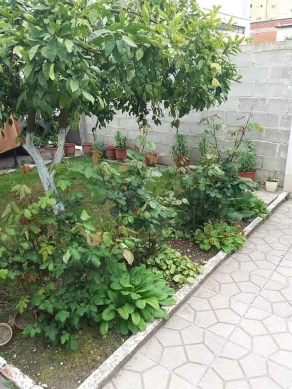 PRIVATE HOUSE WITH YARD FOR RENT IN 1 MAY NEIGHBORHOOD, FIER