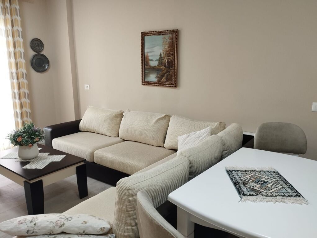 Apartment 1+1 for rent, behind Concord Center (5 Maj street) 500 thousand lek