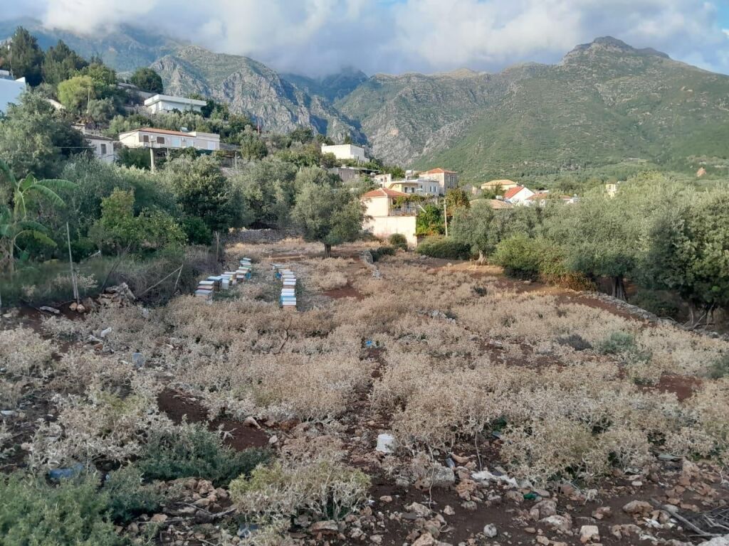 Shtepi private + Toke Ilias