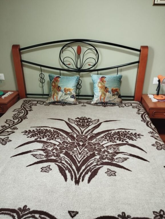 Apartment 1+1 for rent, behind Concord Center (5 Maj street) 500 thousand lek