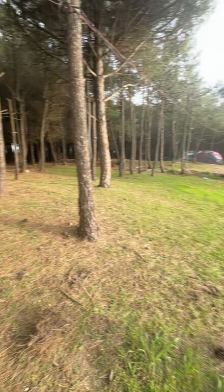 SHITET TOKE VIJE E PARE SPILLE, KAVAJE