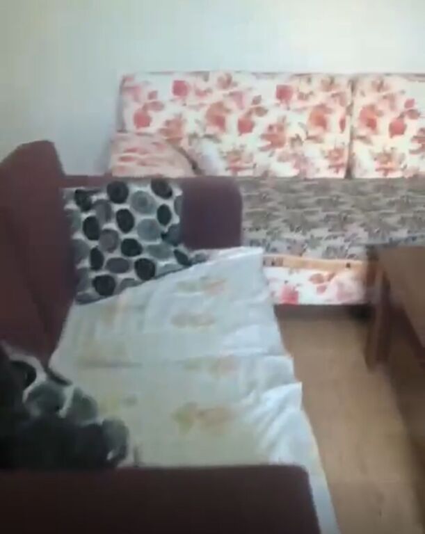 APPARTAMENTO IN AFFITTO 1+1 DON BOSCO 35.000 LEKE FH-58530