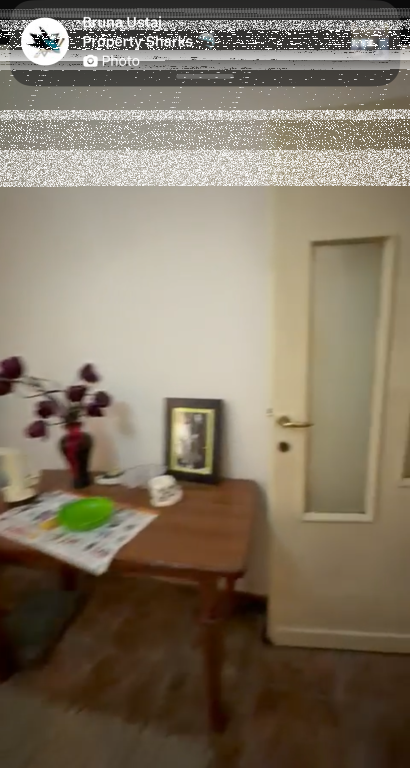 Apartament 2+1, Kopshti Zologjik!