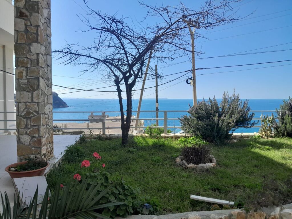 Shitet godine 3 kateshe shume afer me detin