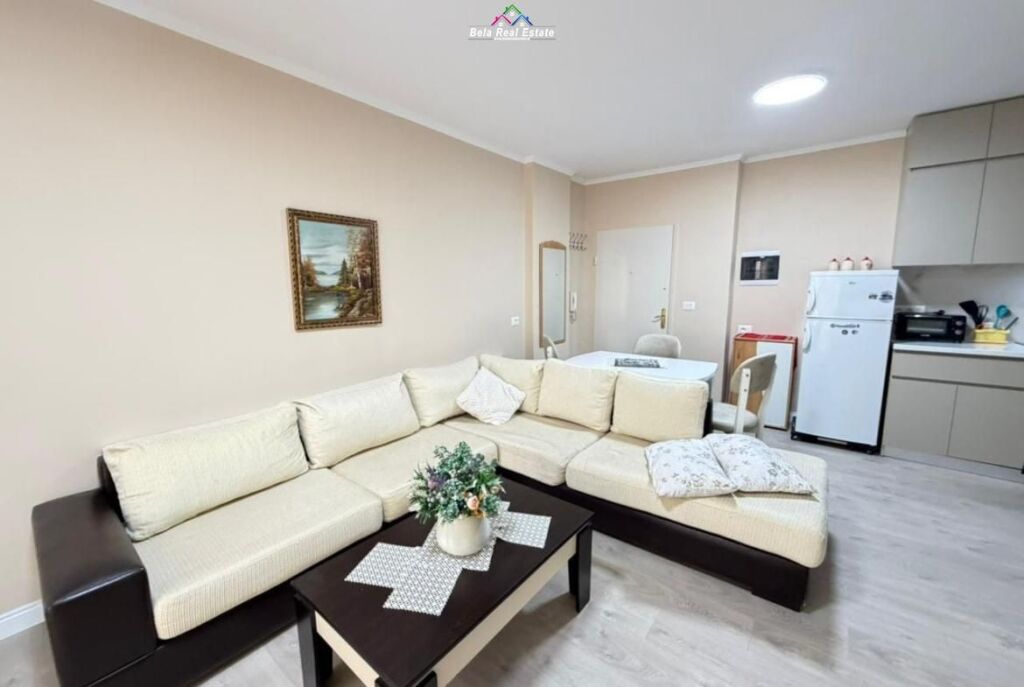 Apartment For Rent 1+1 Near 5 Maji (ID B2101550) Tirana