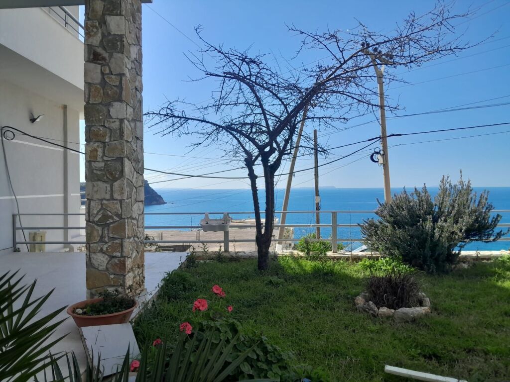 Shitet godine 3 kateshe shume afer me detin