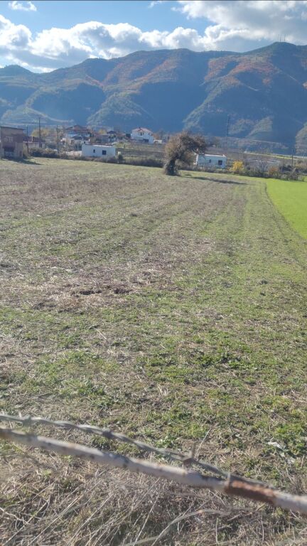 Toke ne shitje ne Gramsh